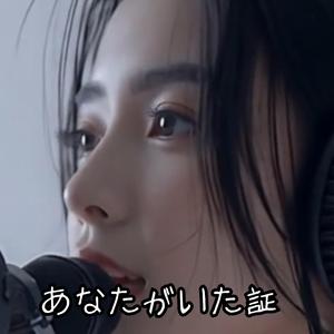 あなたがいた証 / The Proof That You Were Here / तुम्हारे होने का सबूत