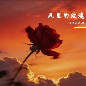 风里的玫瑰
