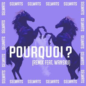 Pourquoi? (feat. Wan9xu)