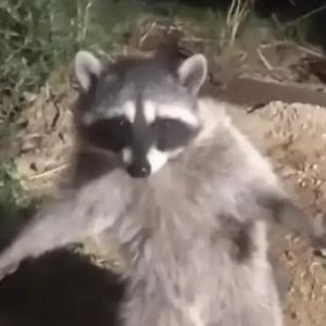 兄弟伙不要再绕