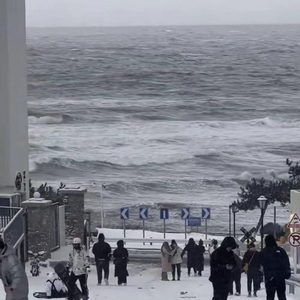 粒子们（cover于贞）