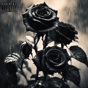 Black Roses 2014