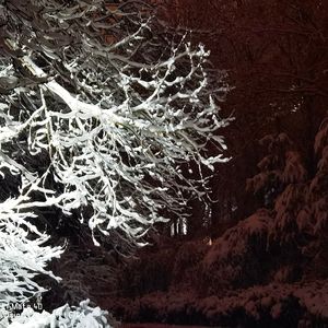 我在昨天的梦里又看见了你_白子