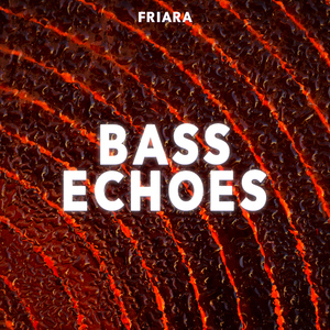Bass Echoes