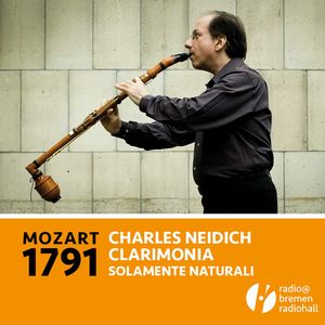 Concerto for Basset Clarinet and Orchestra in a Major, K. 622: III. Rondo - Allegro