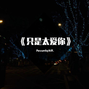 只是太爱你