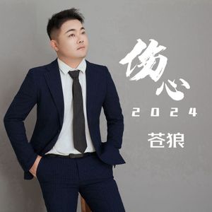 伤心2024