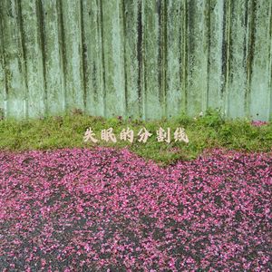 缓缓摇曳 (八音盒)