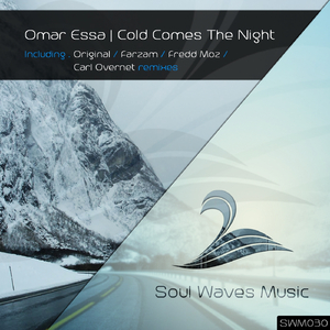 Cold Comes The Night (Original Mix)