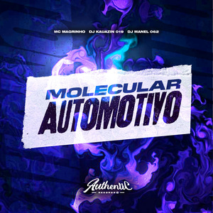 Automotivo Molecular