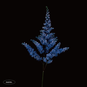 Ocean (noim Remix)