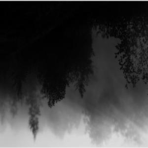 Monde Etroit (feat. Van Derr MakaM Steinbock)