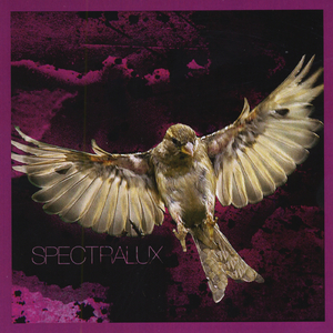 When the Streetl^ghts Take Your Life