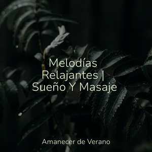 Cambiando Siluetas en el Crepúsculo