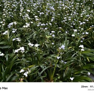 爱乐之城(纯音治愈版).wav