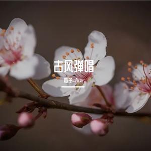 空探枝（吉他弹唱片段）