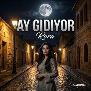Ay Gidiyor (feat. Roza Avut)