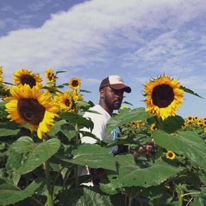 Everybody Loves the Sunshine (My Life)