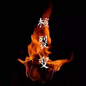 核裂变prod by mai