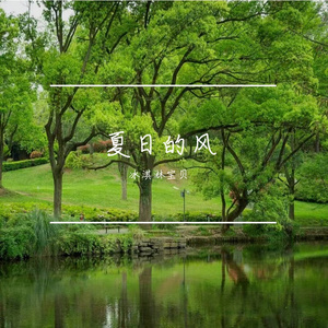 夏日的风