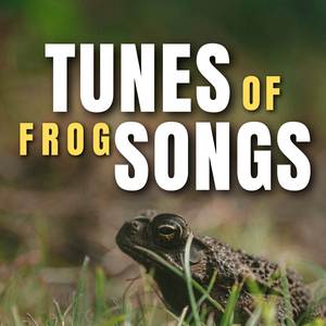 Frog Sounds