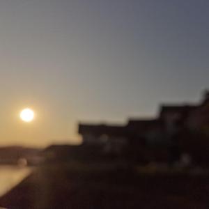 兔叽ya-白月光（Shacks remix）