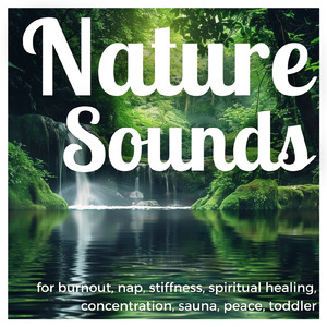 睡眠用ヒーリングミュージック ゆったりとしたギターの音で爆睡 (自律神経を整える睡眠用 森 鳥)