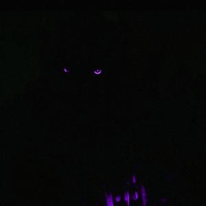 ADRENALINE (SUPER SLOWED)