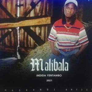 Inhlamvu Yesibhamu (feat. Mpilo Khumalo)