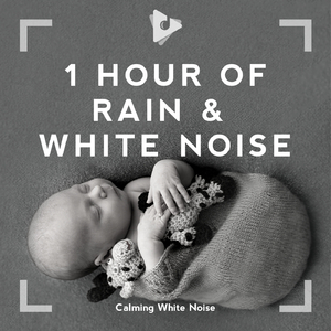 Rain Sounds & White Noise