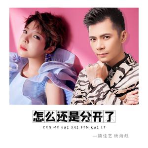 怎么还是分开了（遗憾对唱版）