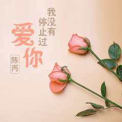 愿你忠于自己 活的认真 (DJ版)