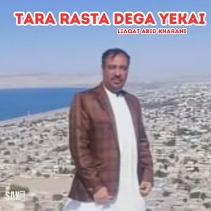 Tao Shaheen Haii Shaheen