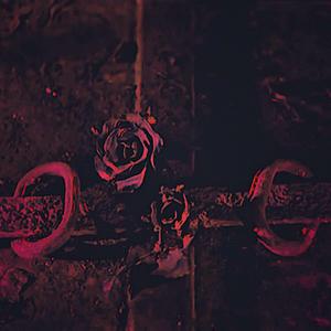 Paranoid (feat. BxRod)