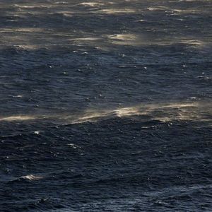 Stay Alive（Cover：闫泽欢）