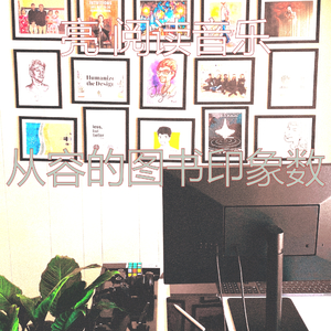 微妙的长篇小说心情