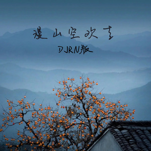 漫山空欢喜 (DJRN版)