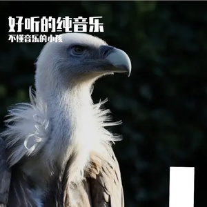 大提琴奏响的舒心之境