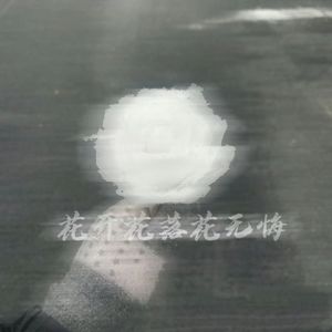 花开花落花无悔