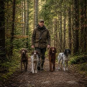 Les quatres chiens