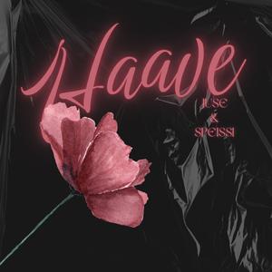 Haave