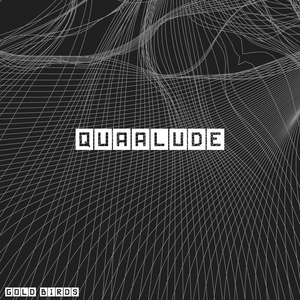 Quaalude