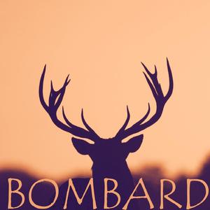 Bombard