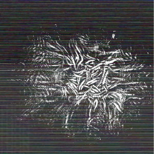 These Specimens Are Irrelevant