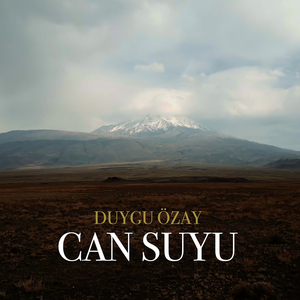 Can Suyu