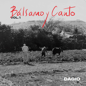 La Guarnición (feat. The Lame tones, Fvck Hwsn, Guillermo Alcantara, Maria Blanco, Javier España, Victor Ramírez & Maria Blanco)