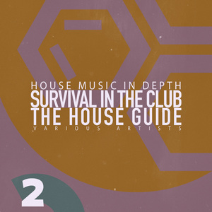 Voice (Groove Mix)
