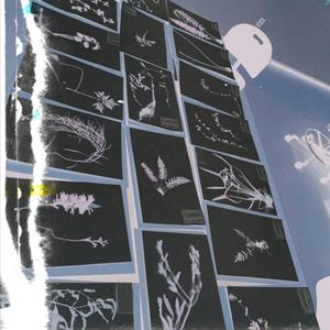 Ascending (feat. hector vae)