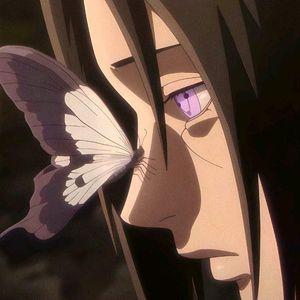 今天的天气很好