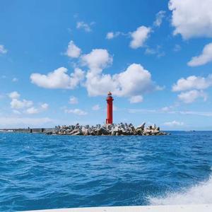 情蛊（广播剧《情蛊》同名主题曲）【竹笛版】